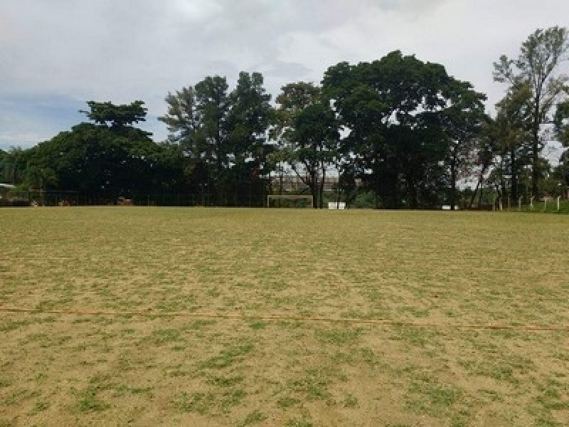 Construção de Campo e Manutenção São Francisco do Conde - Construção de Campo de Futebol Grama Natural