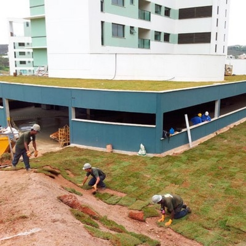 Empresa para Manutenção de Jardim Luis Eduardo Magalhães - Construção e Manutenção de Jardins