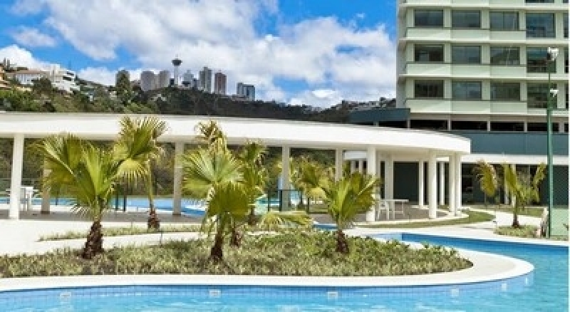 Planta Ornamental