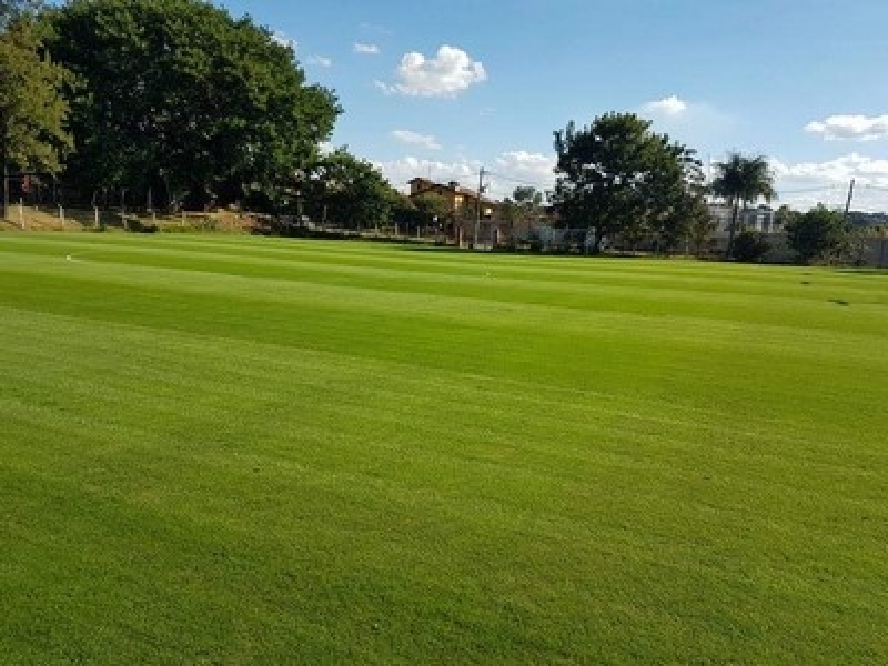 Venda de Gramas