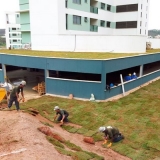 grama branca para jardim Ribeirão Preto