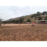 grama natural para campo de futebol Mamanguape